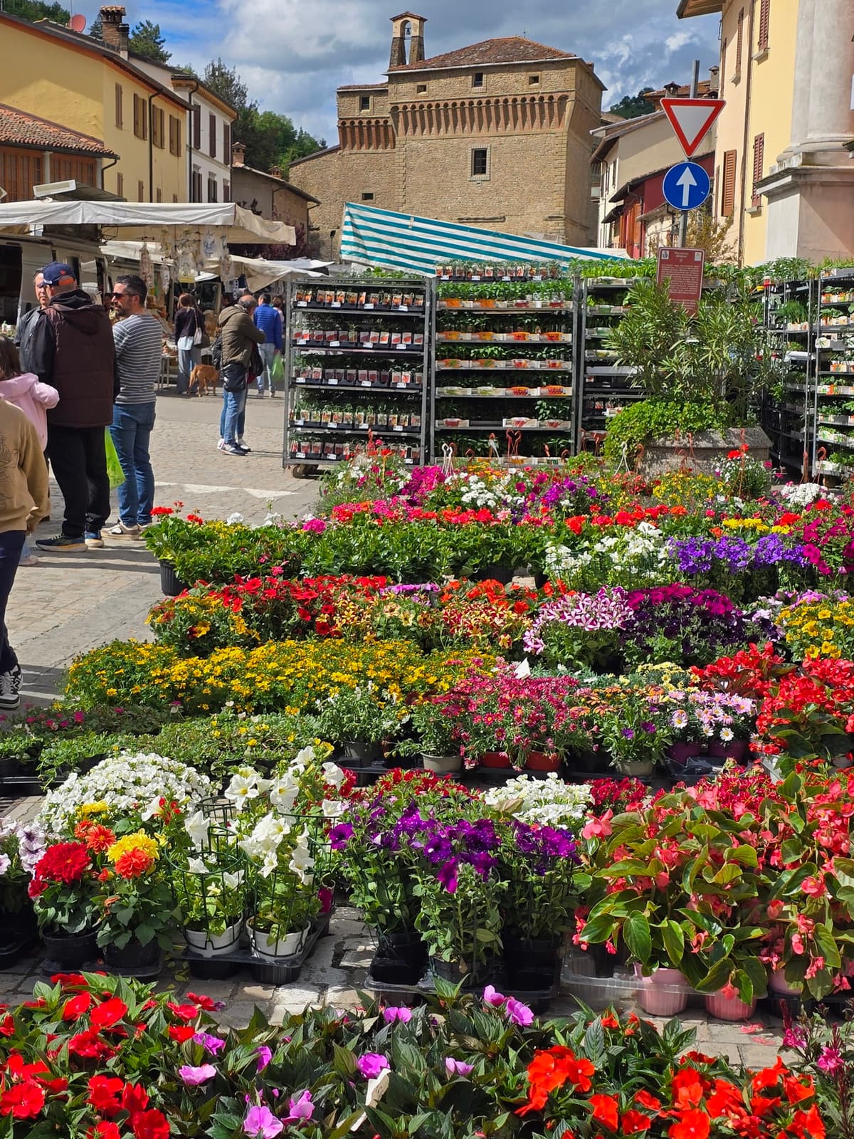 Festa dei Fiori - Castel del Rio