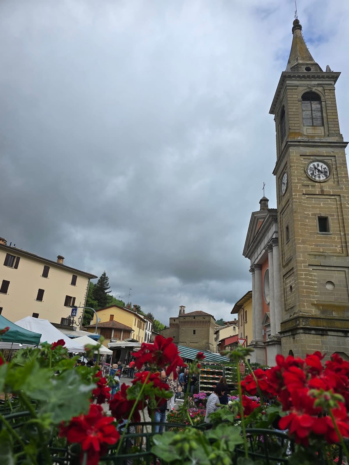 Gerani rossi con il campanile di Castel del Rio