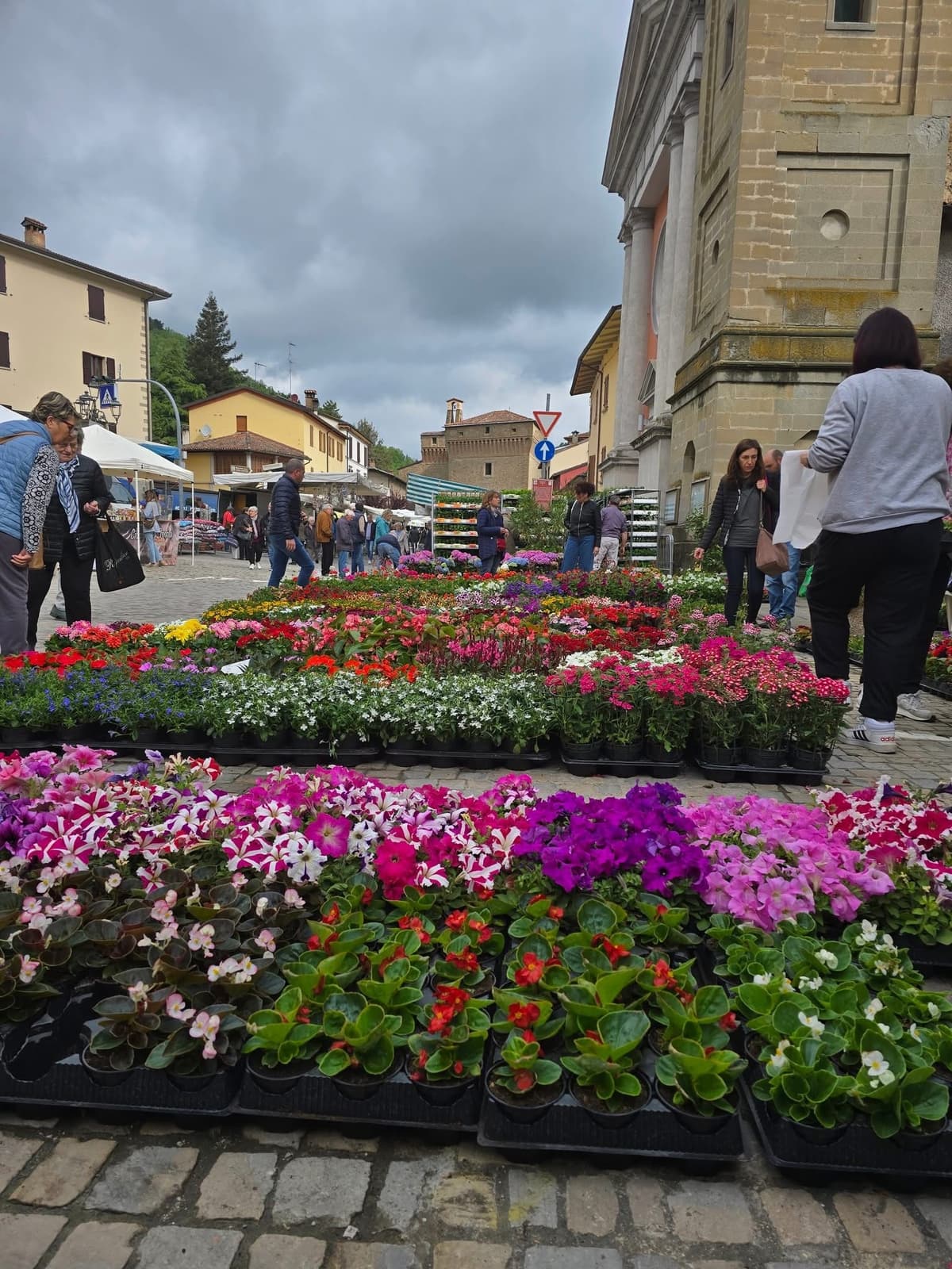 Fiori colorati nella piazza del borgo
